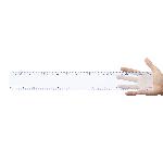 Transparent 30cm Ruler