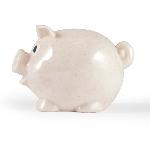 World's Smallest Pig Eco Coin Bank