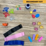 Secondary Sensory Kit